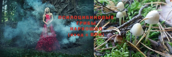 трава Балахна