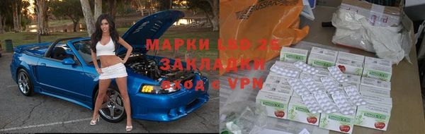стаф Баксан